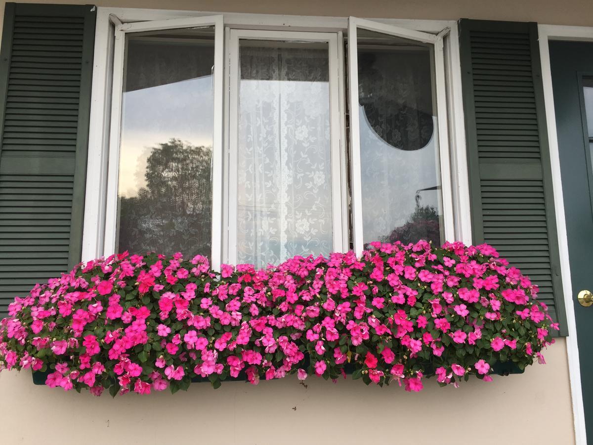 Swiss Inn Londonderry エクステリア 写真